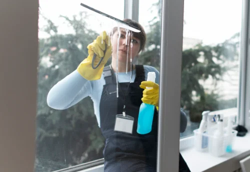 Nettoyage de vitres intérieures et extérieures à Vimines